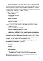 Diplomdarbs 'Darba izmaksu raksturojums un to atspoguļošana grāmatvedības uzskaitē', 13.