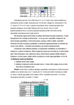 Diplomdarbs 'Darba izmaksu raksturojums un to atspoguļošana grāmatvedības uzskaitē', 19.