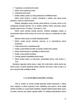 Diplomdarbs 'Tēmas "Pitagora teorēma" apguve 8.klasē', 22.