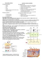 Konspekts 'Psihofizioloģija', 4.