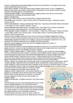 Konspekts 'Psihofizioloģija', 16.