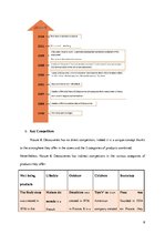 Referāts 'Business Plan. How to Enter Foreign Market', 6.