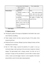 Referāts 'Business Plan. How to Enter Foreign Market', 9.