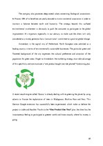 Referāts 'Business Plan. How to Enter Foreign Market', 28.