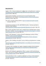 Referāts 'Business Plan. How to Enter Foreign Market', 32.