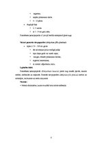 Referāts 'Papardes, sūnas, staipekņi un kosas', 6.