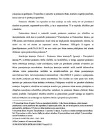 Referāts 'Prokuroru profesionālā ētika', 16.