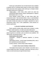 Referāts 'AS "Hansabanka" finanšu pārskatu analīze', 5.