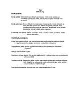 Konspekts 'Iepazīšanās ar karti', 2.