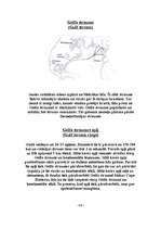 Referāts 'Verakrusa - Jaunorleāna - Havanna - Filadelfija - Halifaksa', 9.