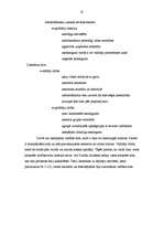 Diplomdarbs 'Deju skolotājas Dzidras Rubenes ieguldījums dejas pedagoģijā', 14.