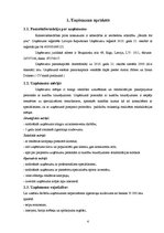 Biznesa plāns 'Veselības centrs', 4.