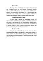 Diplomdarbs 'SIA "Autoserviss" gada pārskats un tā sastāvdaļu analīze', 42.