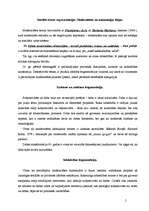 Konspekts 'Sociālās dzīves reprezentācijas. Modernitātes un autonomijas idejas', 2.