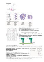 Konspekts 'Transkripcija', 6.