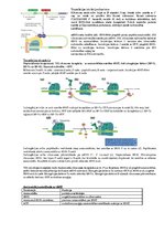 Konspekts 'Transkripcija', 8.