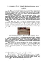 Referāts 'Lielās nātres (Urtica dioica L.) šķiedru pielietojums tautas medicīnā un tekstil', 6.