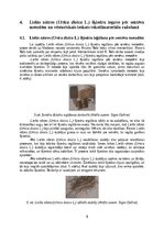 Referāts 'Lielās nātres (Urtica dioica L.) šķiedru pielietojums tautas medicīnā un tekstil', 8.