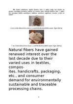 Referāts 'Lielās nātres (Urtica dioica L.) šķiedru pielietojums tautas medicīnā un tekstil', 9.