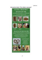 Referāts 'Lielās nātres (Urtica dioica L.) šķiedru pielietojums tautas medicīnā un tekstil', 27.