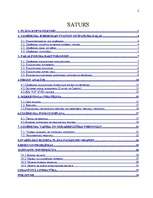 Referāts 'Kursa darbs "SIA 4P biznesa plāns"', 2.