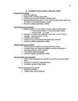 Referāts 'Kursa darbs "SIA 4P biznesa plāns"', 24.