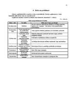 Referāts 'Kursa darbs "SIA 4P biznesa plāns"', 25.