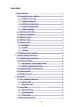 Biznesa plāns 'SIA "DentisM"', 4.