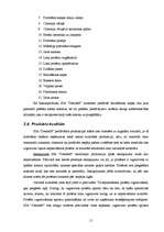 Biznesa plāns 'SIA "DentisM"', 11.