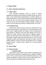 Biznesa plāns 'SIA "DentisM"', 13.