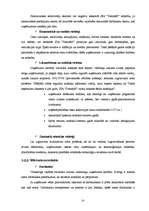 Biznesa plāns 'SIA "DentisM"', 14.