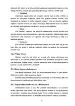 Biznesa plāns 'SIA "DentisM"', 15.