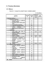 Biznesa plāns 'SIA "DentisM"', 26.