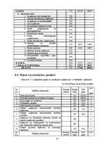 Biznesa plāns 'SIA "DentisM"', 29.