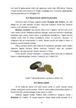 Referāts 'Konkurence lauku tūrisma sektorā Valmieras rajonā', 20.