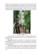 Referāts 'Konkurence lauku tūrisma sektorā Valmieras rajonā', 21.