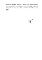 Prezentācija 'Noslēdzošā apstrāde. Otrā daļa', 5.