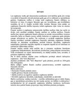 Referāts 'Uzņēmuma finanšu analīze', 1.