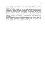 Referāts 'Uzņēmuma finanšu analīze', 6.