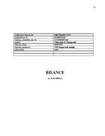 Referāts 'Uzņēmuma finanšu analīze', 26.