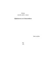 Referāts 'Ģipšakmens un tā izmantošana', 1.