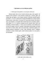 Referāts 'Ģipšakmens un tā izmantošana', 4.