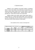 Referāts 'Ģipšakmens un tā izmantošana', 10.