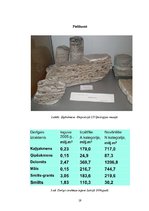 Referāts 'Ģipšakmens un tā izmantošana', 19.