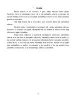 Referāts 'Vietējo pašvaldību reformas tiesiskie aspekti Latvijā ', 3.