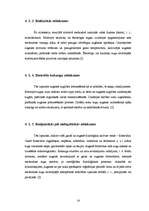 Referāts 'Meža mākslīgā atjaunošana', 14.