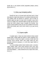 Referāts 'Meža mākslīgā atjaunošana', 20.