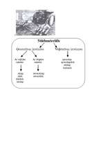 Referāts 'Meža mākslīgā atjaunošana', 37.