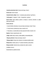 Referāts 'Rīgas "Dinamo"', 2.