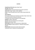 Referāts 'Rīgas "Dinamo"', 3.